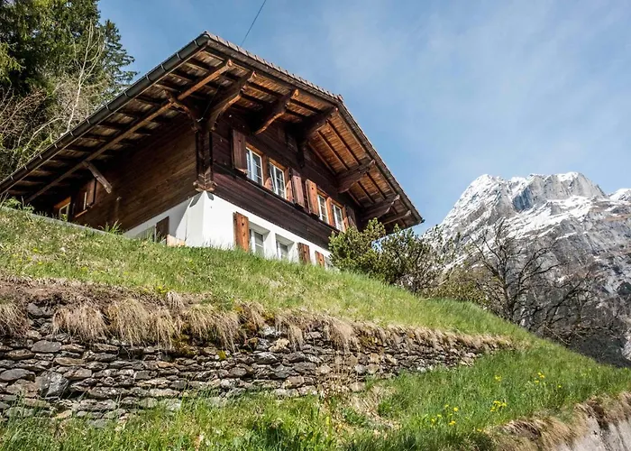 Lienzhubel - Griwa Rent Ag * Гріндельвальд